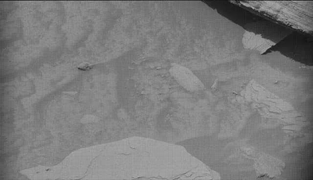 Sol 4391: Mast Camera (Mastcam)
