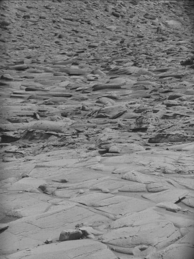 Sol 4391: Mast Camera (Mastcam)