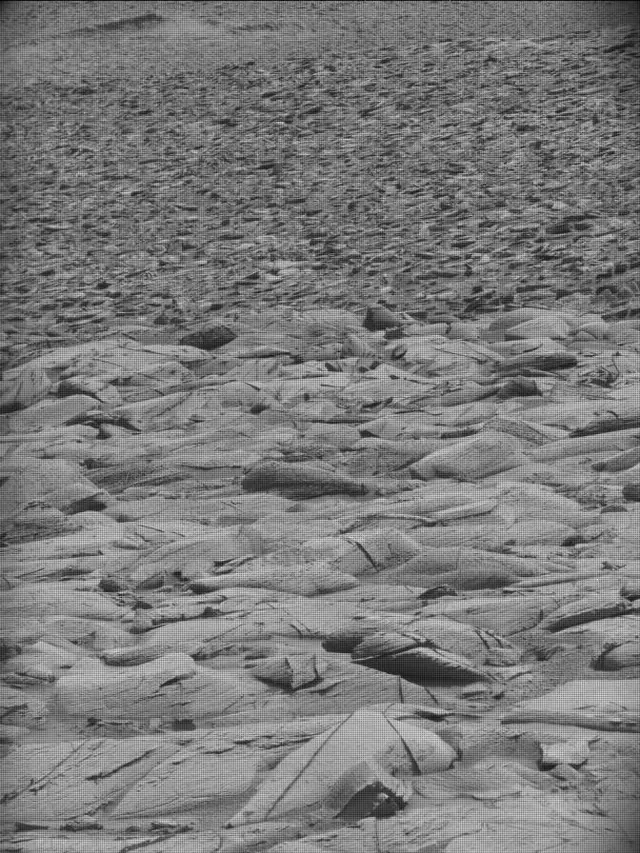 Sol 4391: Mast Camera (Mastcam)