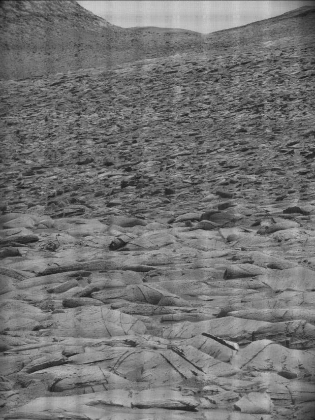 Sol 4391: Mast Camera (Mastcam)