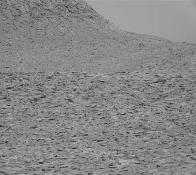 Sol 4391: Mast Camera (Mastcam)