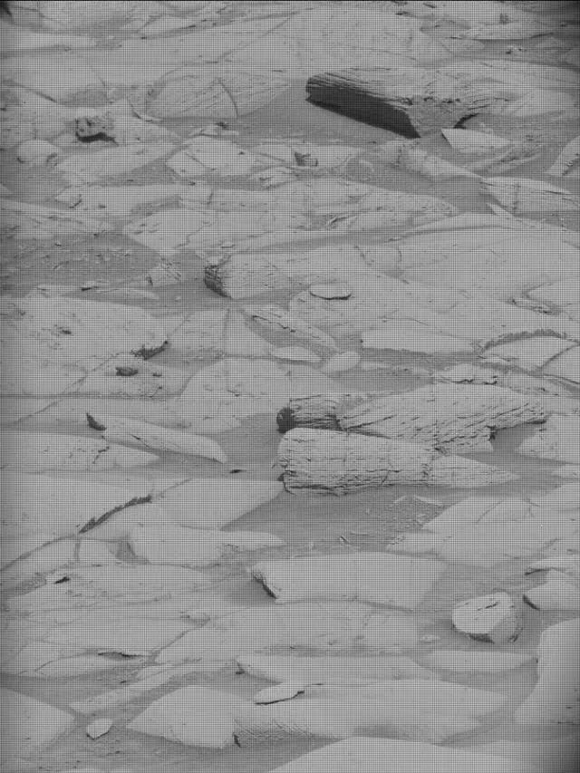 Sol 4394: Mast Camera (Mastcam)