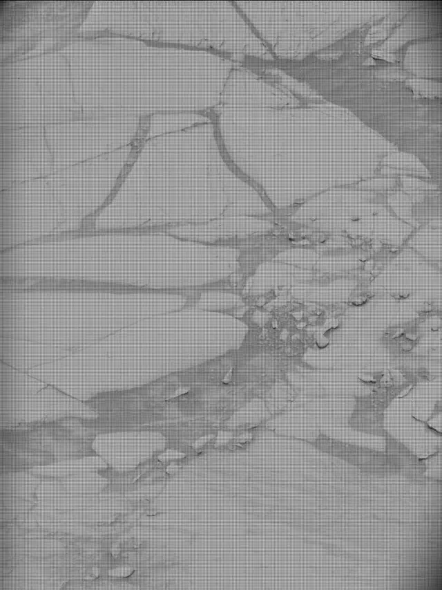Sol 4394: Mast Camera (Mastcam)