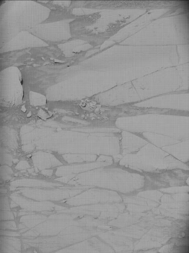 Sol 4394: Mast Camera (Mastcam)
