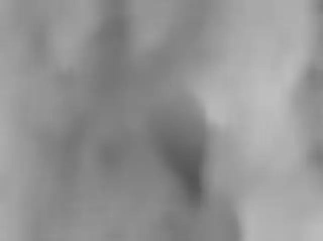 Sol 4394: Mars Hand Lens Imager (MAHLI)