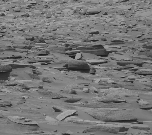 Sol 4396: Mast Camera (Mastcam)