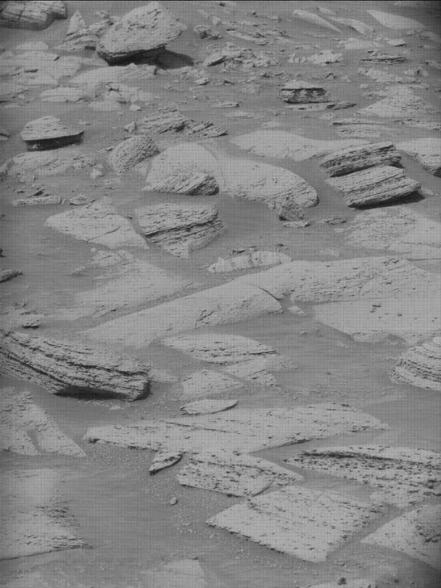 Sol 4400: Mast Camera (Mastcam)