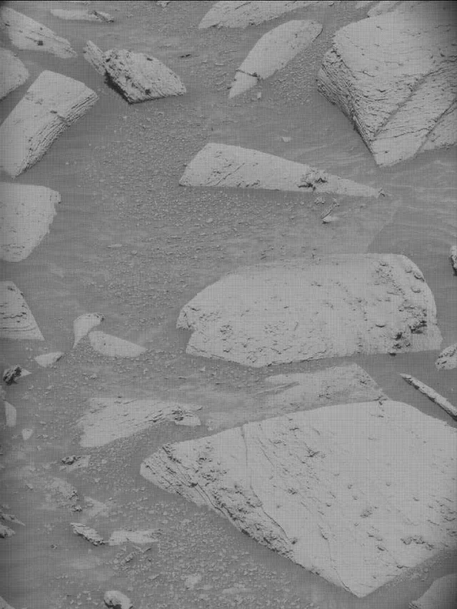 Sol 4400: Mast Camera (Mastcam)