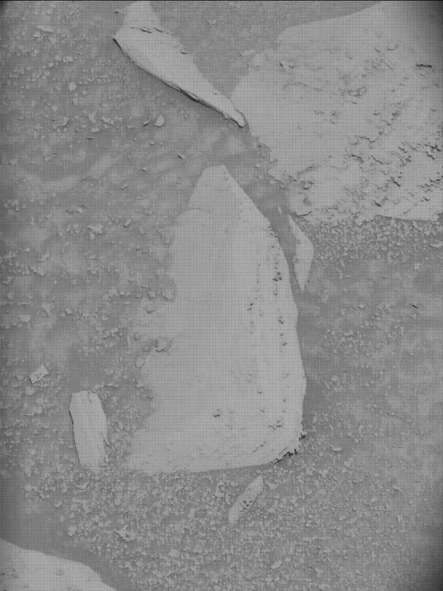 Sol 4400: Mast Camera (Mastcam)