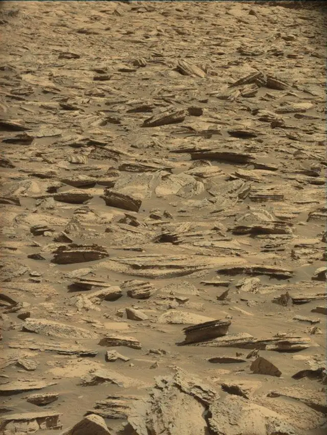 Sol 4417: Mast Camera (Mastcam)