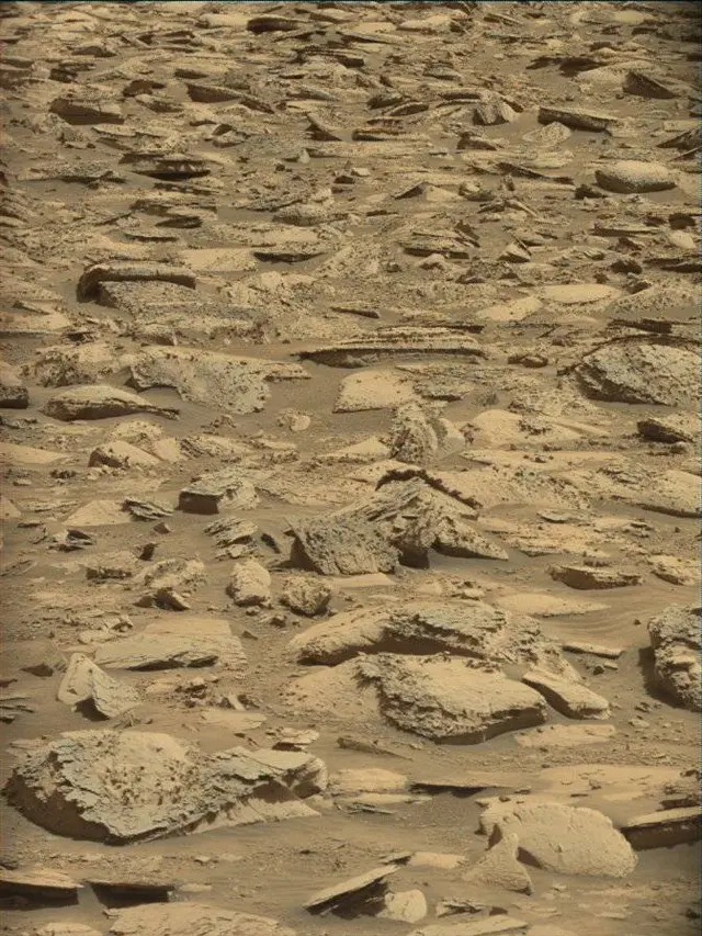 Sol 4417: Mast Camera (Mastcam)