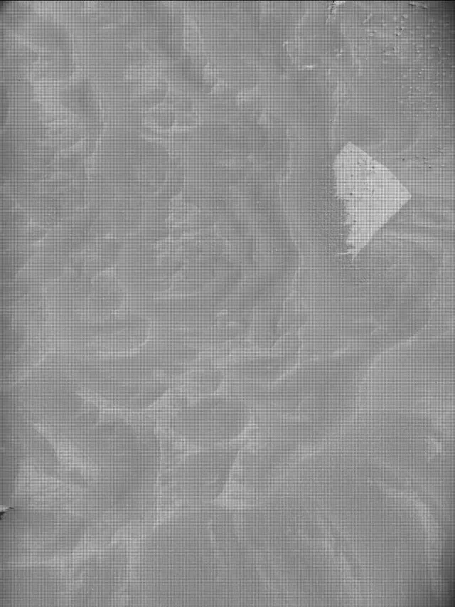 Sol 4417: Mast Camera (Mastcam)