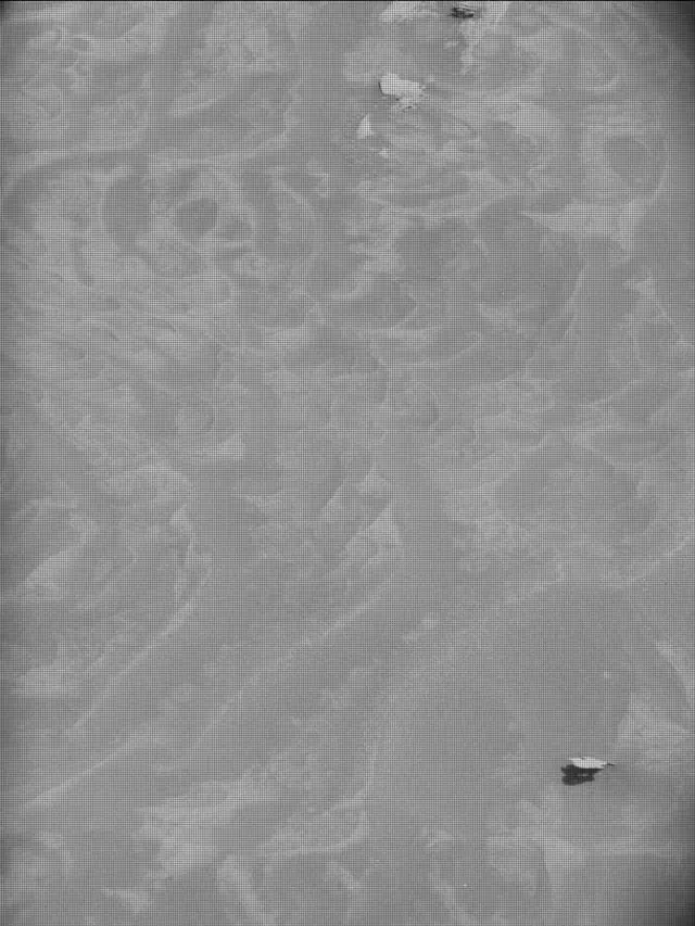 Sol 4417: Mast Camera (Mastcam)
