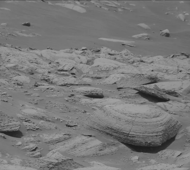 Sol 4427: Mast Camera (Mastcam)