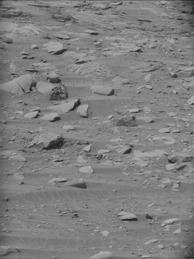 Sol 4431: Mast Camera (Mastcam)