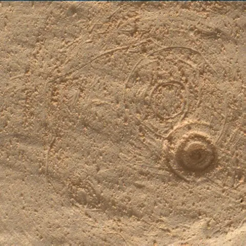 Sol 4431: Mars Hand Lens Imager (MAHLI)
