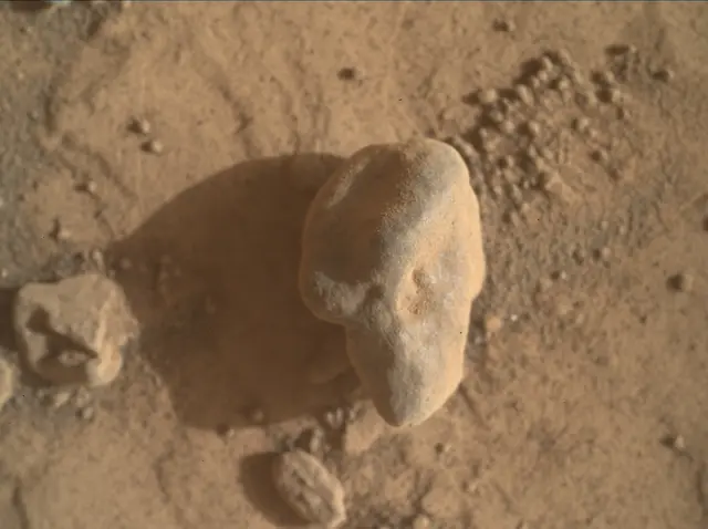 Sol 4434: Mars Hand Lens Imager (MAHLI)