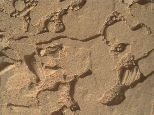 Sol 4434: Mars Hand Lens Imager (MAHLI)