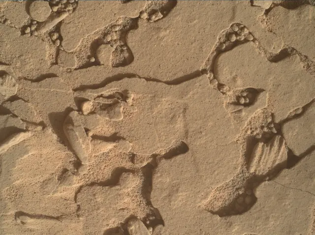Sol 4434: Mars Hand Lens Imager (MAHLI)