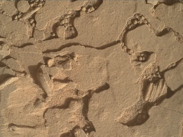 Sol 4434: Mars Hand Lens Imager (MAHLI)