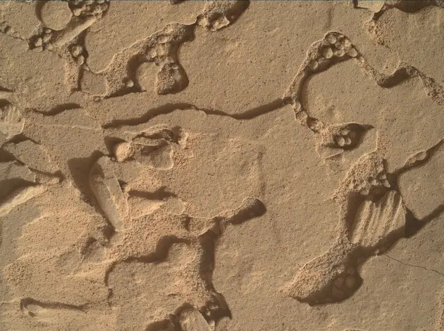 Sol 4434: Mars Hand Lens Imager (MAHLI)