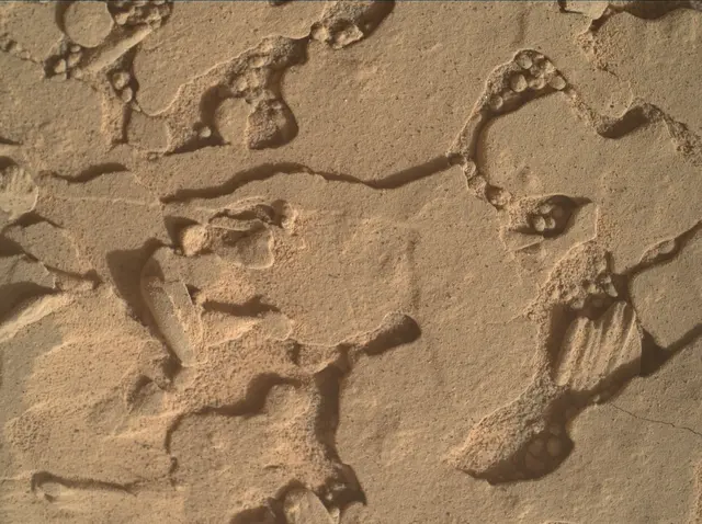 Sol 4434: Mars Hand Lens Imager (MAHLI)