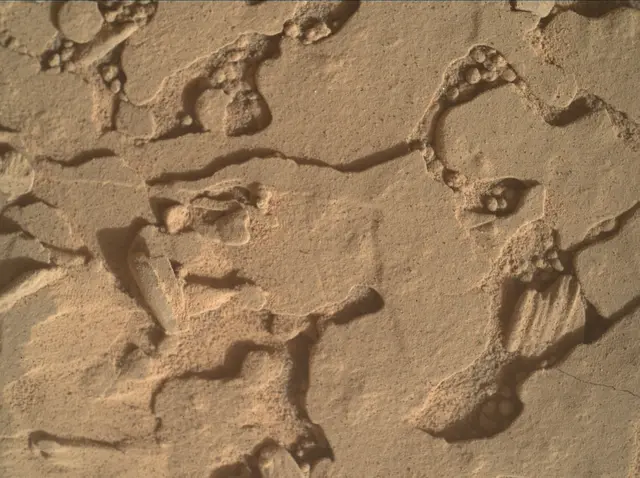 Sol 4434: Mars Hand Lens Imager (MAHLI)