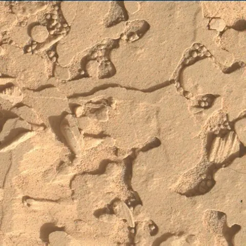 Sol 4434: Mars Hand Lens Imager (MAHLI)
