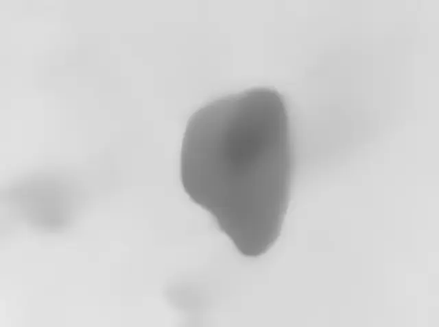 Sol 4435: Mars Hand Lens Imager (MAHLI)