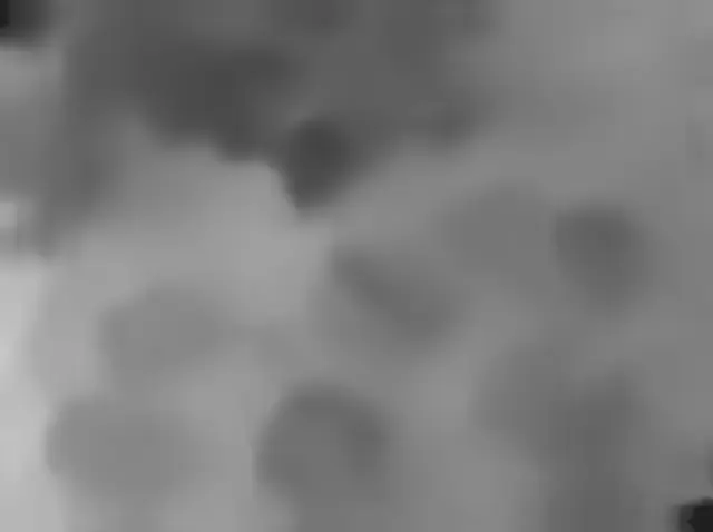 Sol 4435: Mars Hand Lens Imager (MAHLI)