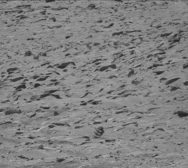 Sol 4437: Mast Camera (Mastcam)
