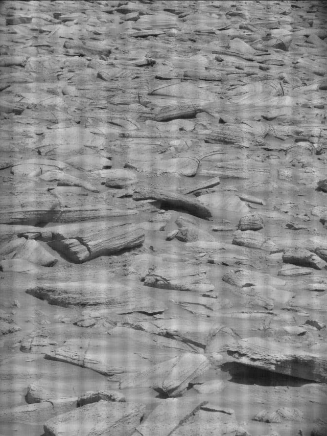 Sol 4442: Mast Camera (Mastcam)