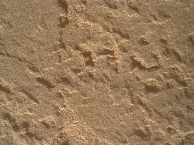 Sol 4442: Mars Hand Lens Imager (MAHLI)