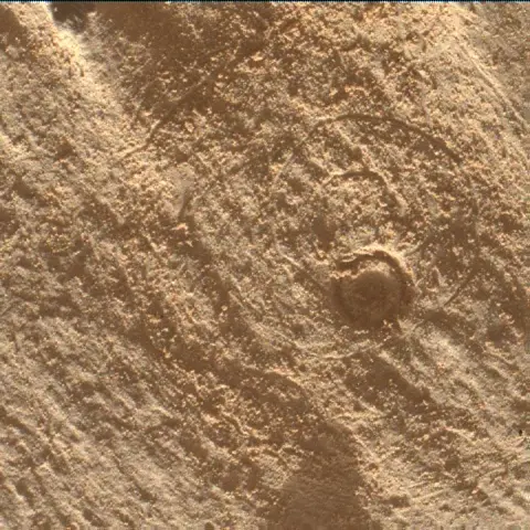 Sol 4443: Mars Hand Lens Imager (MAHLI)