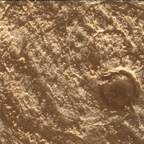 Sol 4443: Mars Hand Lens Imager (MAHLI)