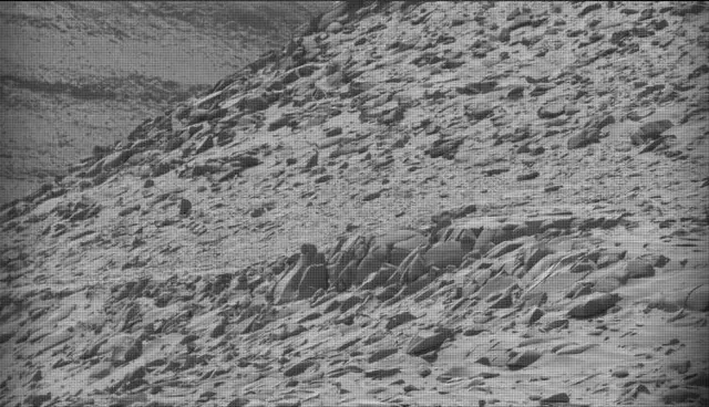 Sol 4444: Mast Camera (Mastcam)