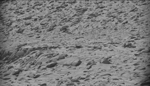 Sol 4444: Mast Camera (Mastcam)