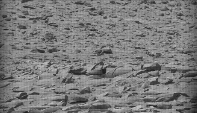 Sol 4444: Mast Camera (Mastcam)