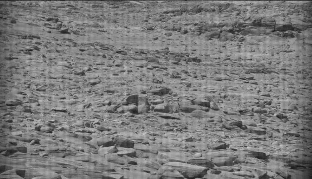 Sol 4444: Mast Camera (Mastcam)