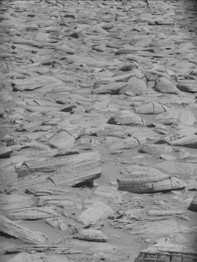 Sol 4444: Mast Camera (Mastcam)