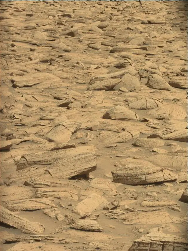 Sol 4444: Mast Camera (Mastcam)