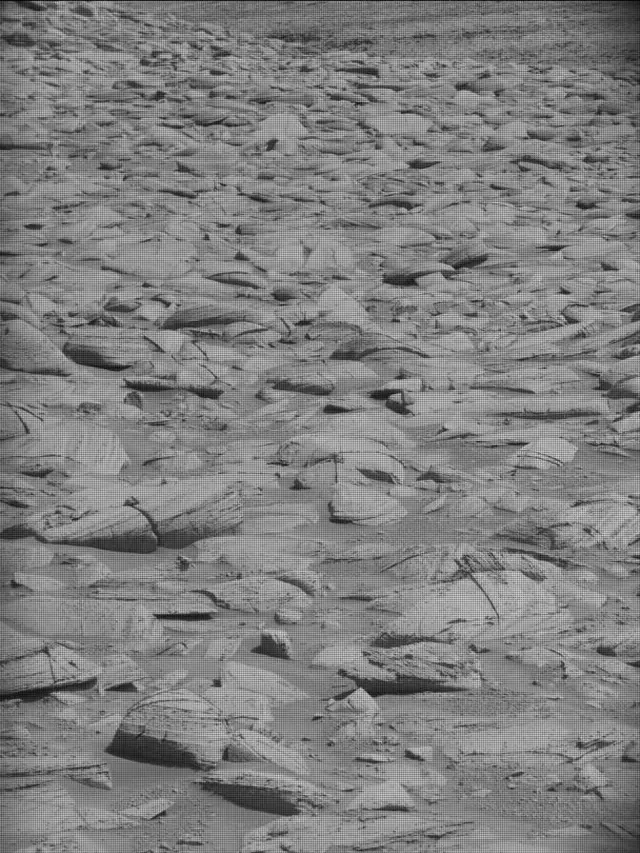 Sol 4444: Mast Camera (Mastcam)
