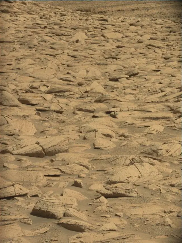 Sol 4444: Mast Camera (Mastcam)