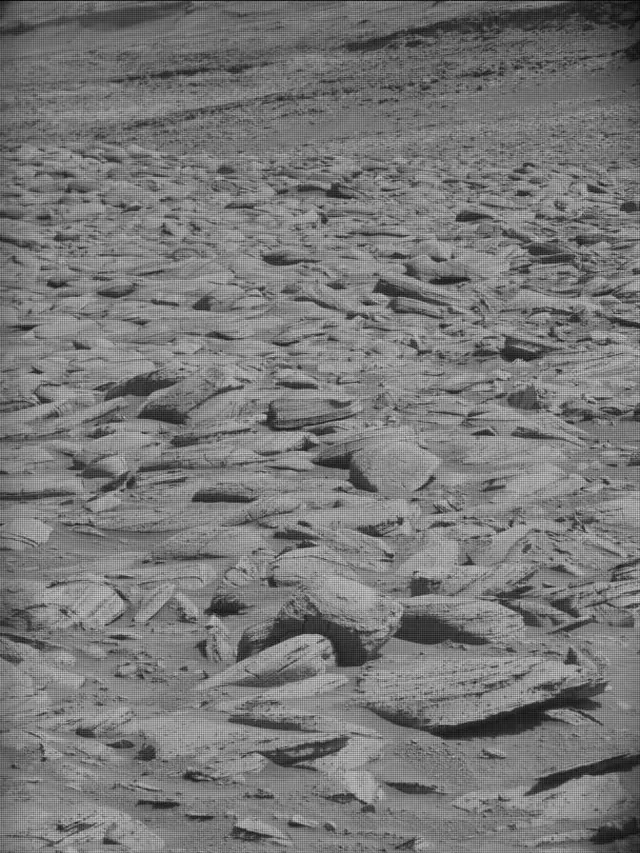 Sol 4444: Mast Camera (Mastcam)
