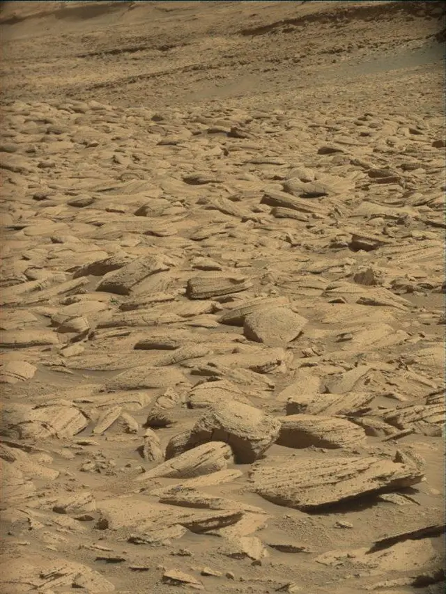 Sol 4444: Mast Camera (Mastcam)