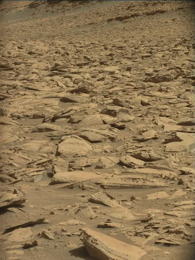 Sol 4444: Mast Camera (Mastcam)