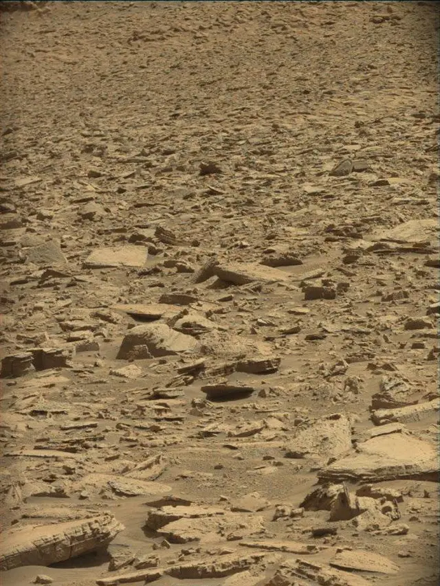 Sol 4444: Mast Camera (Mastcam)