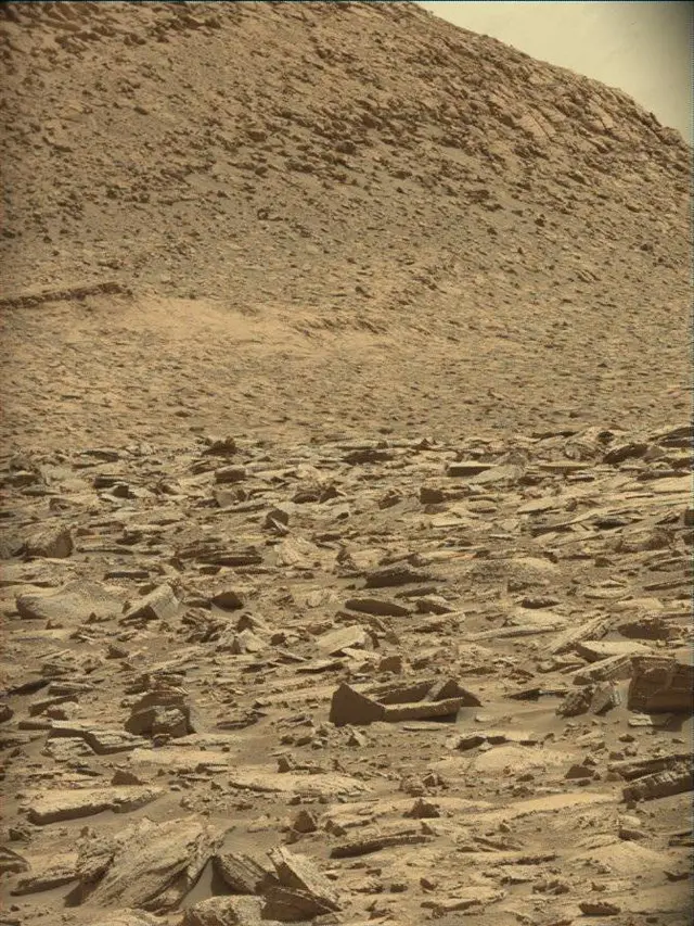 Sol 4444: Mast Camera (Mastcam)