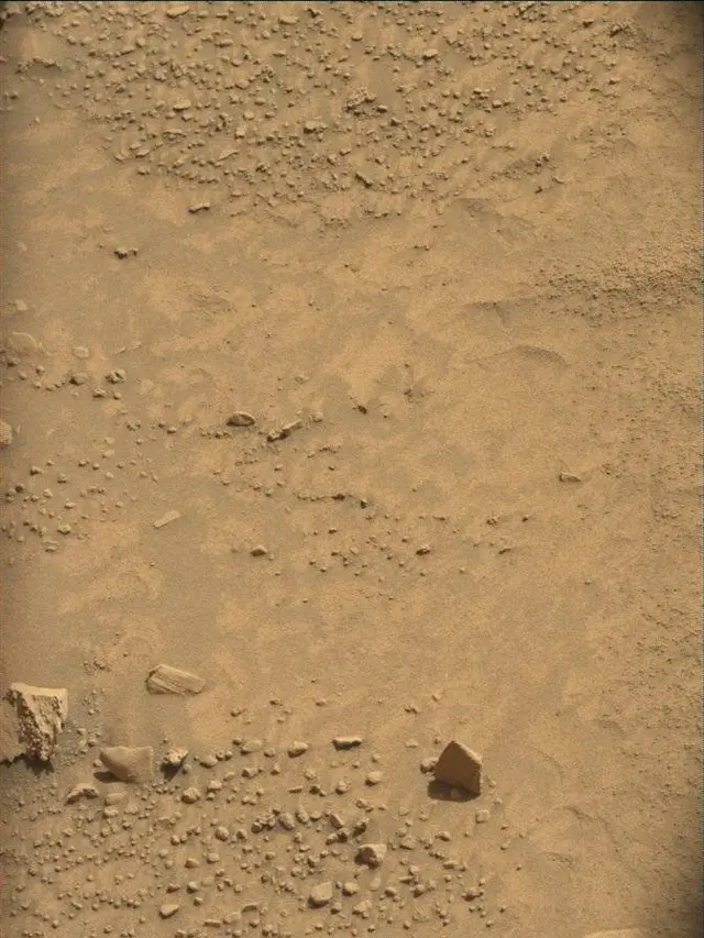 Sol 4444: Mast Camera (Mastcam)