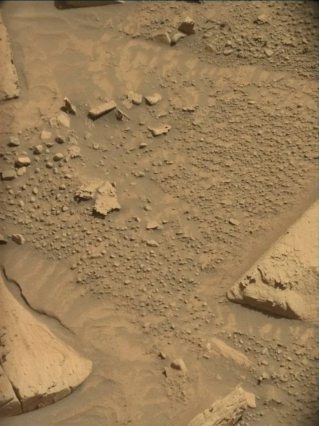Sol 4444: Mast Camera (Mastcam)